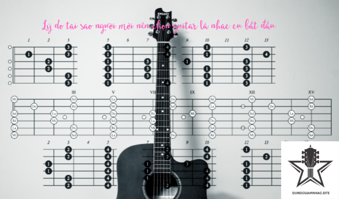 Lý do tại sao người mới nên chọn guitar là nhạc cụ bắt đầu