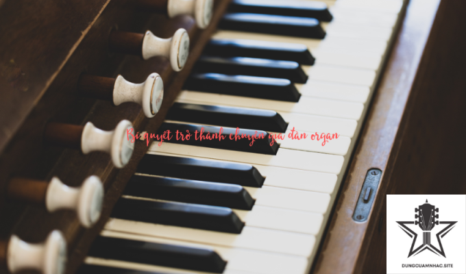 Bí quyết trở thành chuyên gia đàn organ